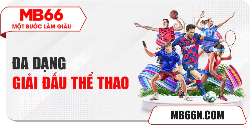 Mở cược đa dạng giải đấu thể thao