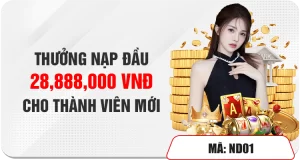 Nạp Tiền Lần Đầu Thưởng 28,888,000 VND